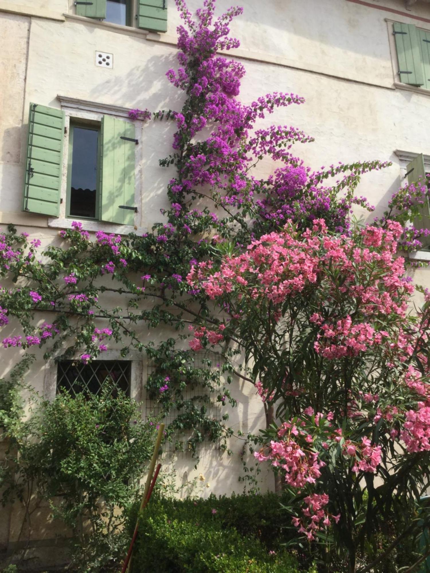 Villa Cisano Residenza D'Epoca Bardolino Luaran gambar
